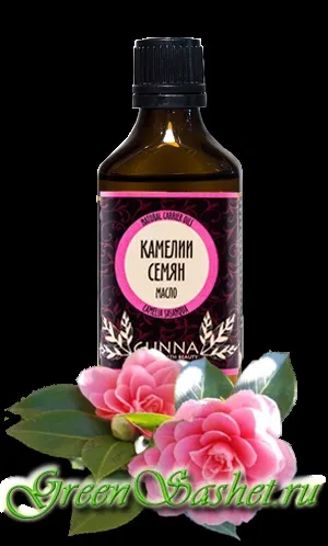 Як зробити мацерат своїми руками (мацерат в домашніх умовах) Як зробити мацерат своїми руками