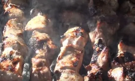 Cum delicioase frigarui marinate de carne de porc 8 delicioase de carne marinate pentru a obține moale și suculentă
