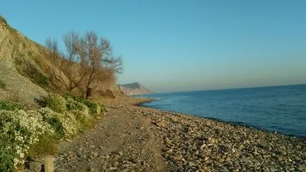 Atunci când florile din Vityazevo Marea Neagră