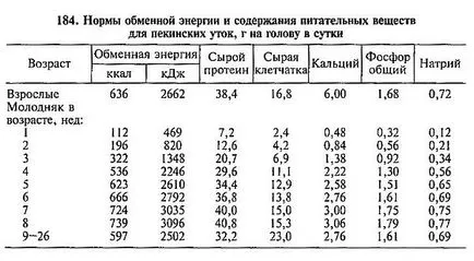 Hrănirea rațe, portalul de principalii fermieri - toate despre afaceri agriculturii