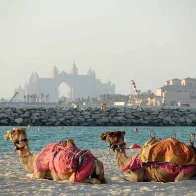 Hol jobb, megy a UAE 2015-ben, és hogy érdemes egy pillantást az EAE