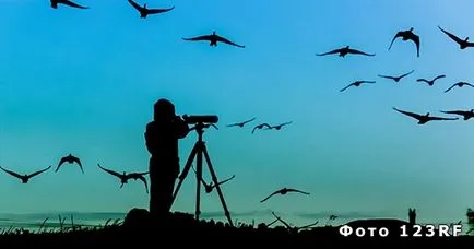 Ki ornitológus és akivel tanul, az alap a választ minden kérdésre
