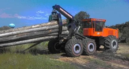 Erdészeti - csak annyit kell tudni, hogy a vevő