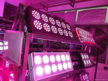 Led или LED лампи за оранжерии