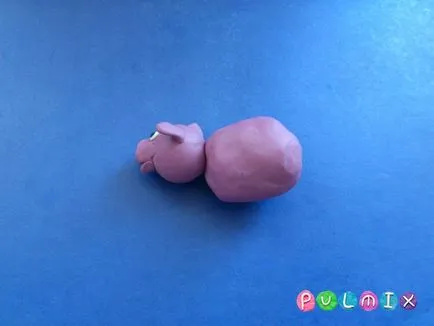 plastilină etape de porc Lepim