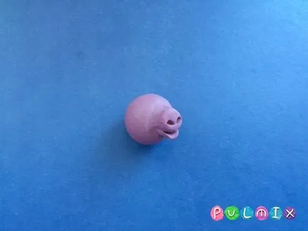 plastilină etape de porc Lepim