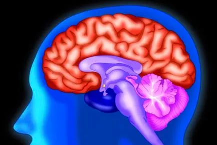 agy Lipoma tünetek lépésre, a veszély