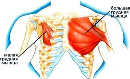 Плитко гръден мускул - неочакван източник на дискомфорт