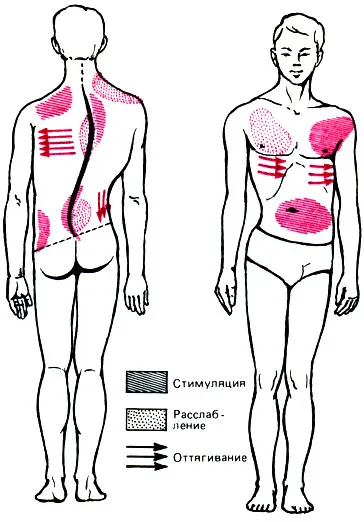 Masszázs a scoliosis jellemzők, módszerek, technikák