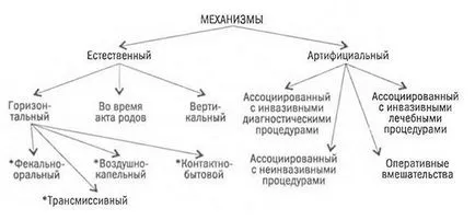 Механизми, пътища и фактори на инфекция на медицинските работници