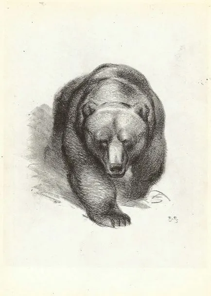 Urșii pe pînzele artiștilor români - masterat Fair - lucrate manual, lucrate manual