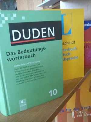 verbului sein germană