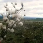 Як ти там без мене за вікном нескінченна хуртовина, поезія і вірші (хуртовина) Як ти там без мене за вікном нескінченна хуртовина, поезія і вірші