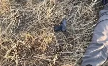 Як виїхати в кувейт і отримувати $ 3 000 на місяць (киргизстан) Як виїхати в кувейт і отримувати $ 3 000 на місяць