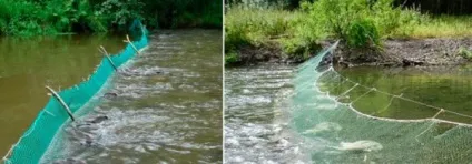 Як ставити рибальські мережі (взимку під кригою) Як ставити рибальські мережі