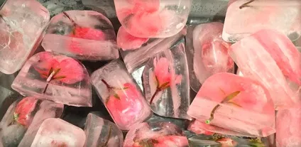 Як звузити пори на обличчі кращі засоби (маска, крем, тонік лосьйон, сироватка і гель), відгуки (пори) Як звузити пори на обличчі кращі засоби (маска, крем, тонік, лосьйон, сироватка і гель), відгуки