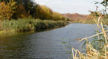 Як ставити рибальські мережі (взимку під кригою) Як ставити рибальські мережі