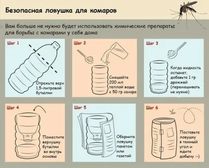 Як своїми руками зробити пастку для мух і комарів (своїми руками) Як своїми руками зробити пастку для мух і комарів