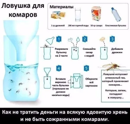 Як своїми руками зробити пастку для мух і комарів (своїми руками) Як своїми руками зробити пастку для мух і комарів