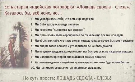 Недостатъкът на отлагане или - конят умрял - със сълзи, Александър Kuvayev