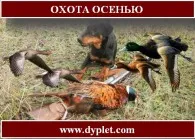 Полювання на тетерева восени (тетерева) Полювання на тетерева восени