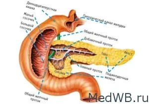 Pancreatita si colecistită boala in comun decat vindecarea