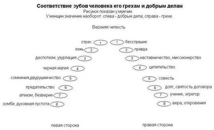 За зъби значение на всеки зъб - астрологически анализ - Статии Directory - астрологичен сайт