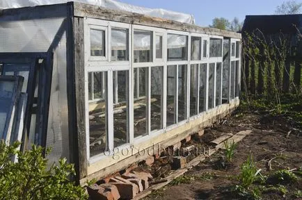 Greenhouse kezével a régi ablakkeretek építeni saját kezűleg, a tökéletes kert és a kert