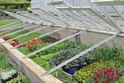 Greenhouse kezével a régi ablakkeretek építeni saját kezűleg, a tökéletes kert és a kert