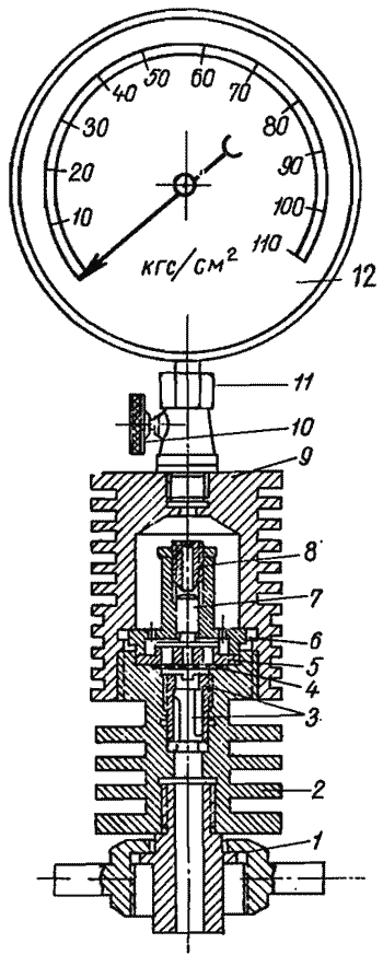 Pimetry și vârf