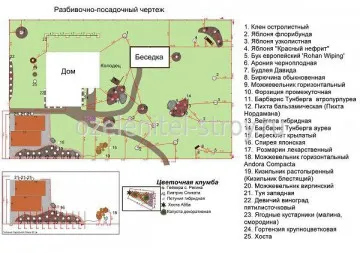 gropi plan sau îmbarcare desen