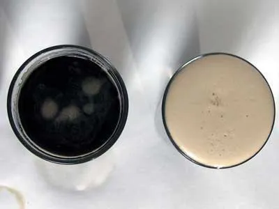 Beer salétromsavval Guinness kapszula leírás, vélemény és az ár