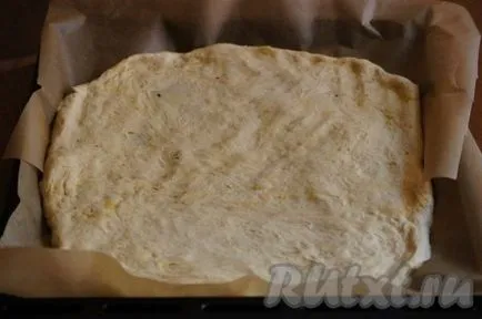 Pite csirke, paradicsom és sajt - a recept egy fotó