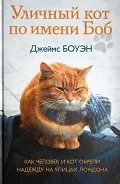 Повече информация за Олег Tischenkov котка прочетете на