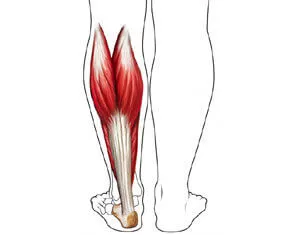 Plantar aponeurosissal tünetek, kezelési módszerek, szövődmények