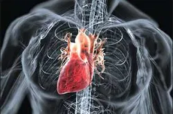 A következmények szívroham férfiaknál okoz, kezelés