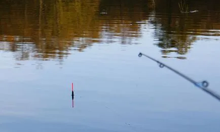 Úszók halászat során - sportos, lapos, ogruzka, csináld magad, vélemények