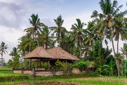 În urma filmului Eat, Pray, Love - de fapt, uite locuri populare în Bali