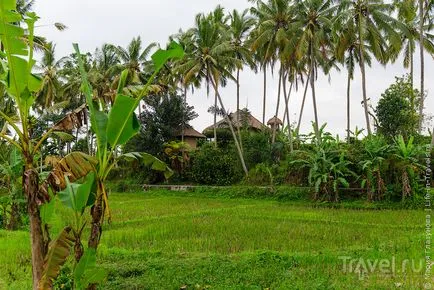 În urma filmului Eat, Pray, Love - de fapt, uite locuri populare în Bali