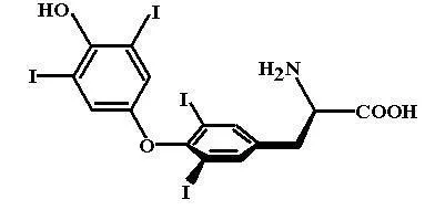hormon tiroidian 1