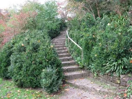 Прайър Park - преди парк, пътуват заедно