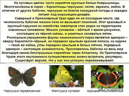 Представяне на изследване на пеперуди, наречена lepidopterists