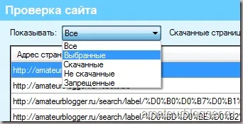 Як дізнатися, хто краде мій контент, блог seo дилетанта (блог) Як дізнатися, хто краде мій контент, блог seo дилетанта