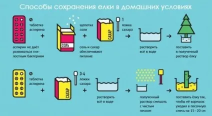Як встановити ялинку вдома на новий рік 2018, рік собаки живу, штучну, поради з вибору, (будинку) Як встановити ялинку вдома на новий рік 2018, рік собаки живу, штучну, поради з вибору,