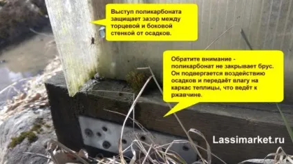 Яку вибрати теплицю