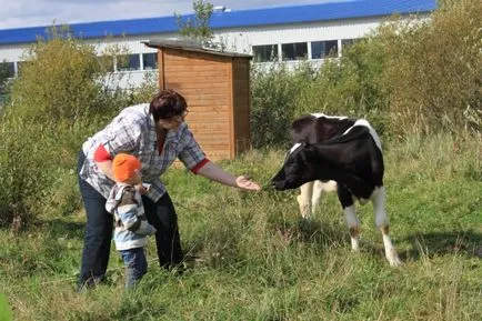 „Laptele a venit la noi pe masă“