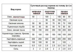 Tenyésztési liba, mint egy üzleti, saját üzleti, a talaj legfeljebb 100%