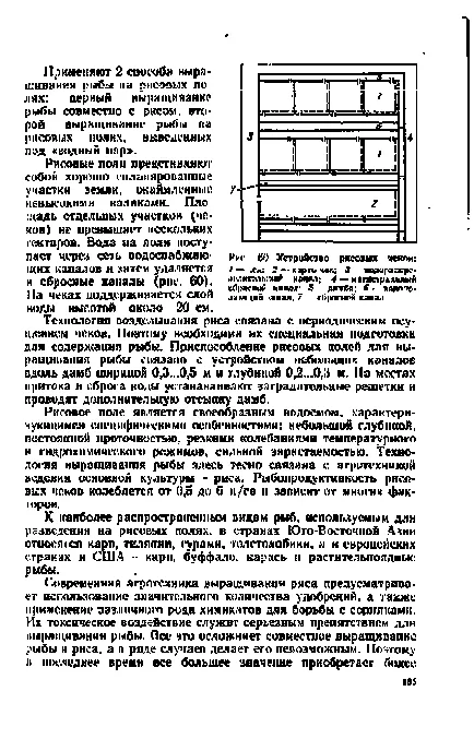 проверки ориз