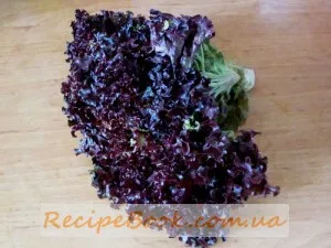 Salata verde Lollo Rossa salata Lollo Rossa beneficii, compoziția și calorii salata Lollo Rossa, blog-
