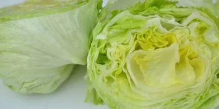 Conserve retete salata de ton cu pas cu pas fotografii